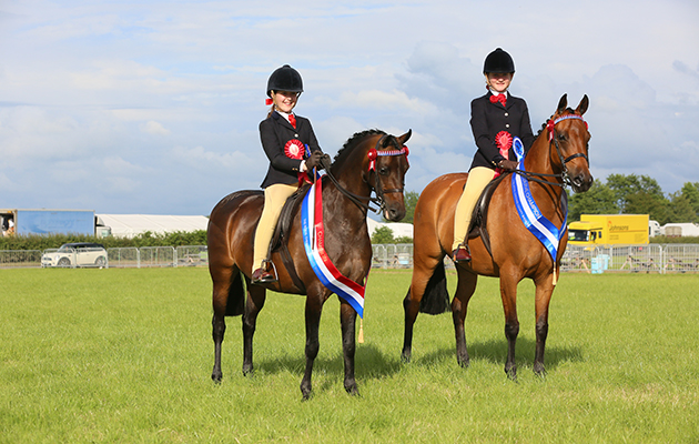 Show Pony championship Champion 871 ARCHWOOD BALERINA R: Miss Talia Aristidou Reserve 856 WILDERNESS EARLY BIRD R: Georgina Holmes