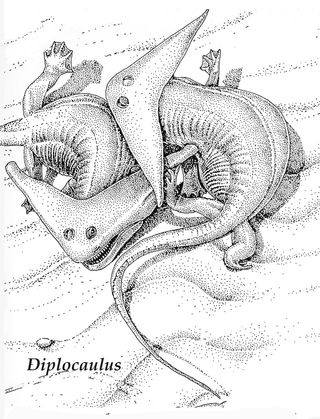 dimetrodon fossils, diplocalus fossils, texas bone bed