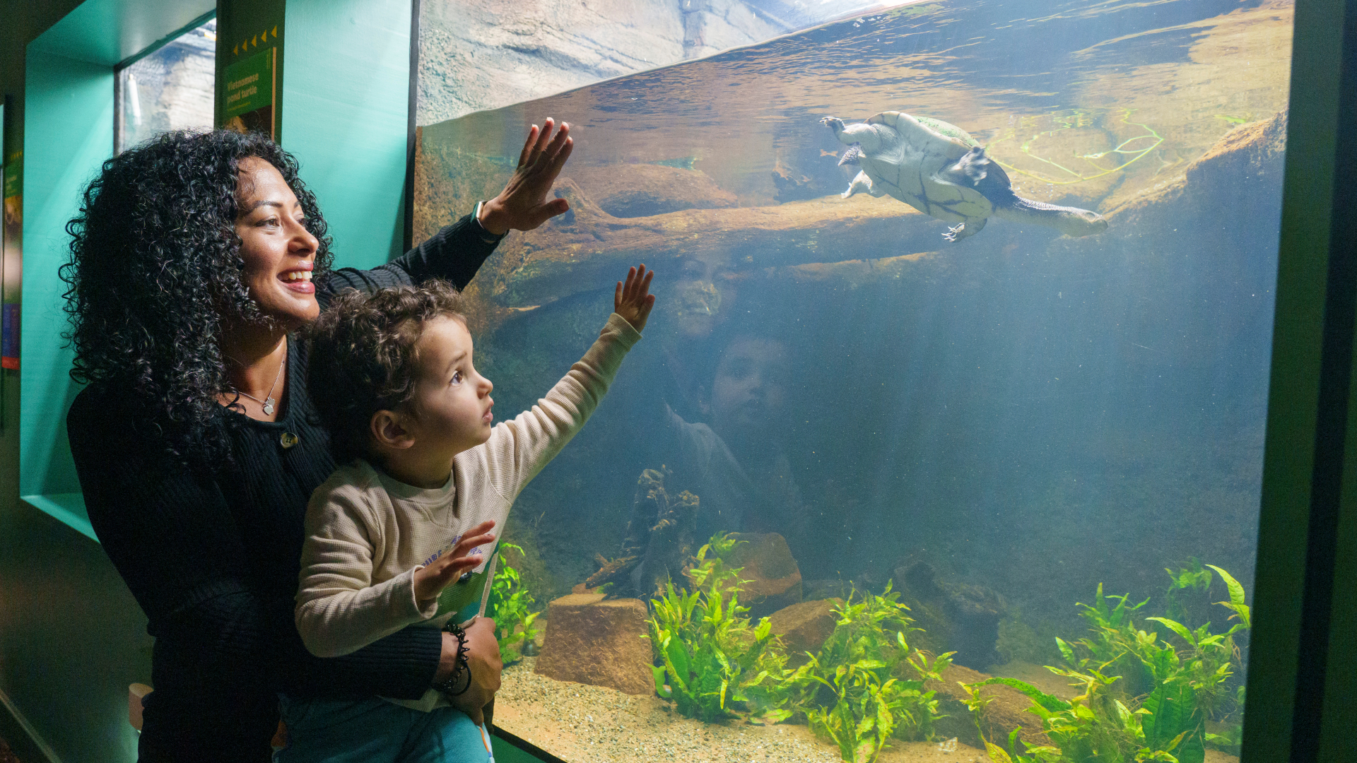 Kaiyan and Sonika Tapley look at a snake-necked turtle at London Zoo 