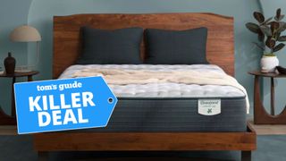 The Beautyrest Harmony Lux mattress with a TG Killer Deal badge laid over the top