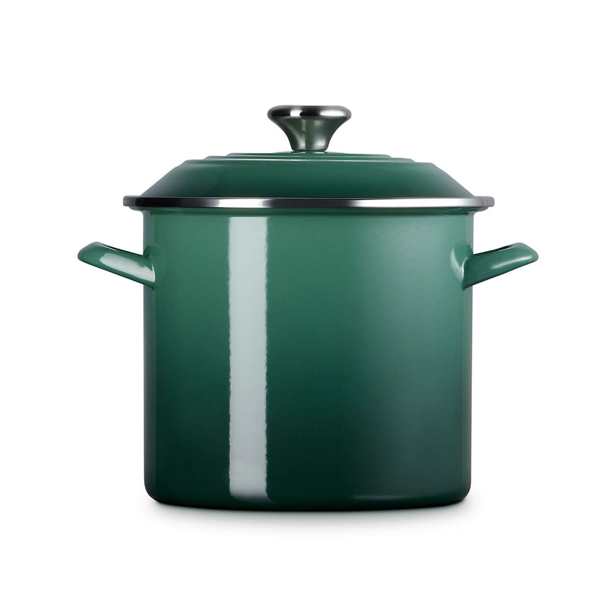 Tall emerald green stockpot with silver accents