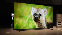 Hands-On: Sony Bravia A8H OLED TV review