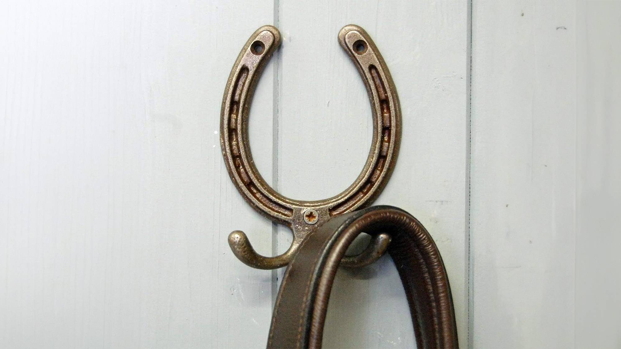 Bowley &amp;amp; Jackson Horseshoe Door Hook