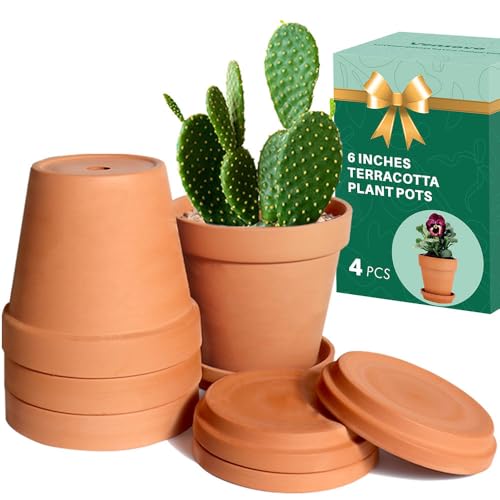 Vensovo 6 Inch Terracotta & Clay Pots for Plant With Saucer - 4 Pack Medium Terra Cotta Planter With Drainage Hole, Flowerpot for Indoor Outdoor Plants, Crafts, Wedding Favor
