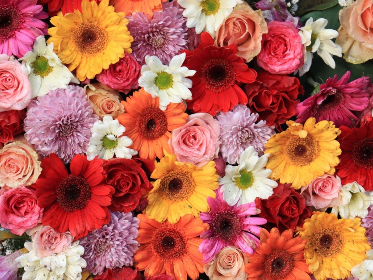 Variety Of Flowers