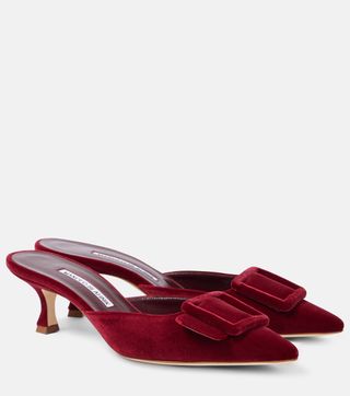 Manolo Blahnik, Maysale 50 Velvet Mules