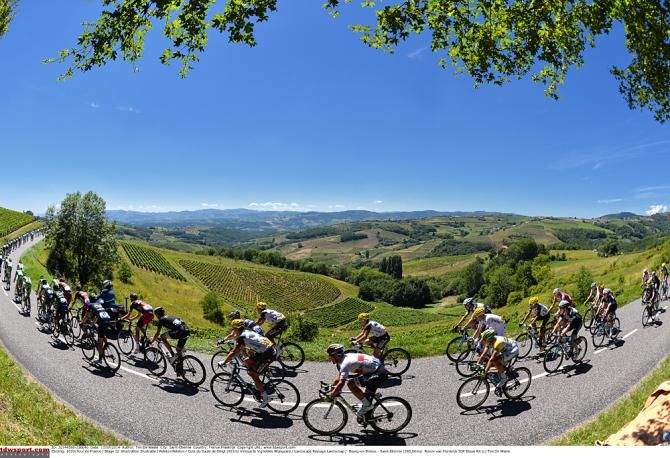 The peloton race through scenic French landscapes