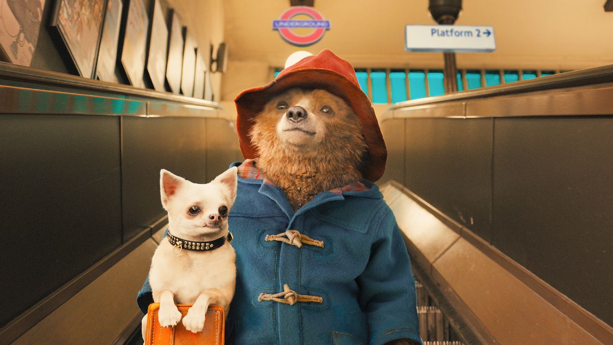 Paddington in Paddington