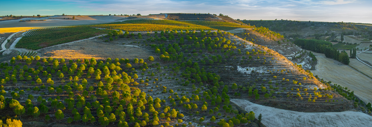 Resalte_panoramic-vineyards.jpg