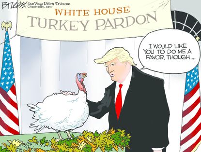 Political Cartoon U.S. White House Turkey Pardon Favor