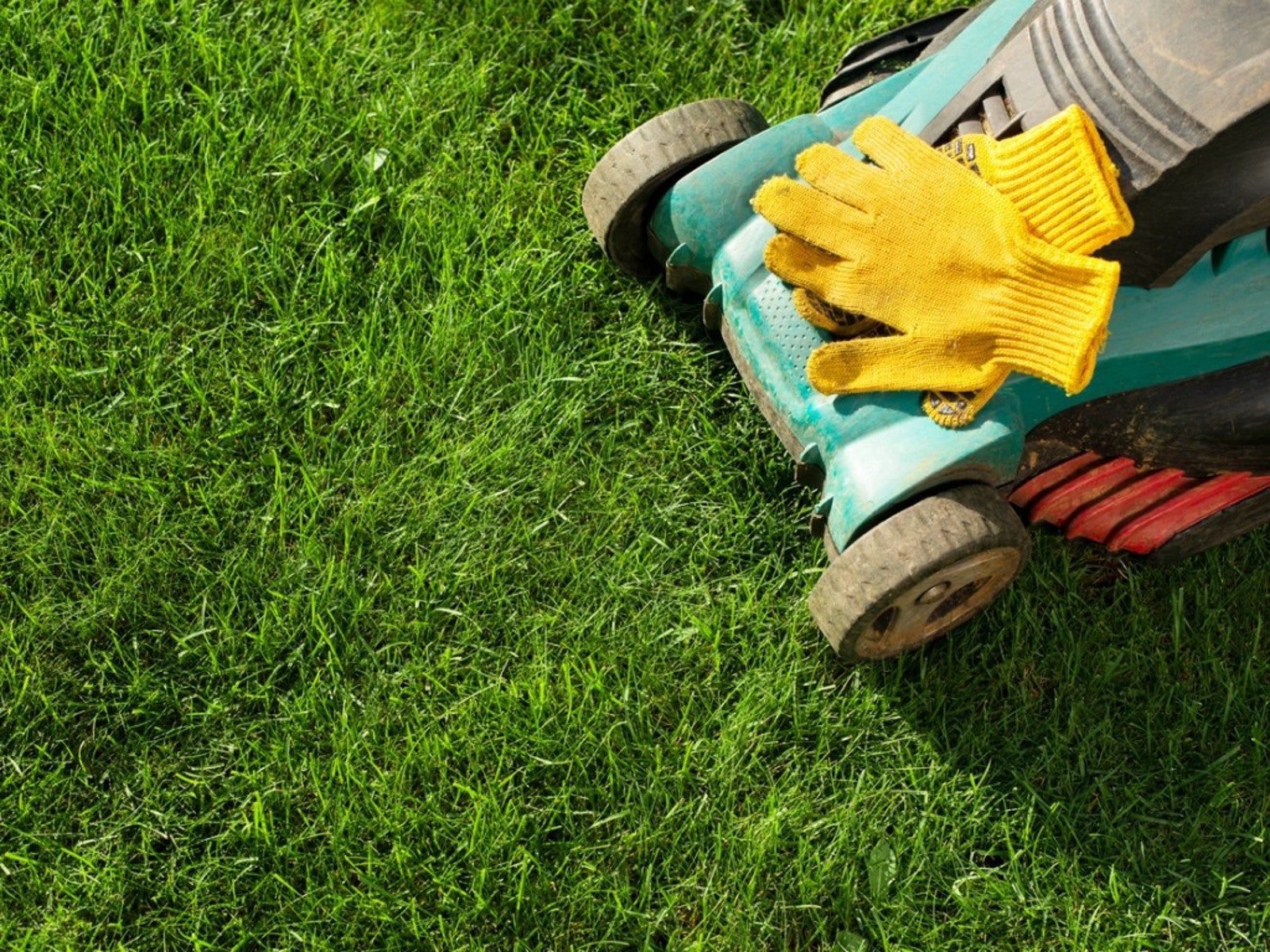 California And Nevada Lawn Care And Maintenance | Gardening Know How