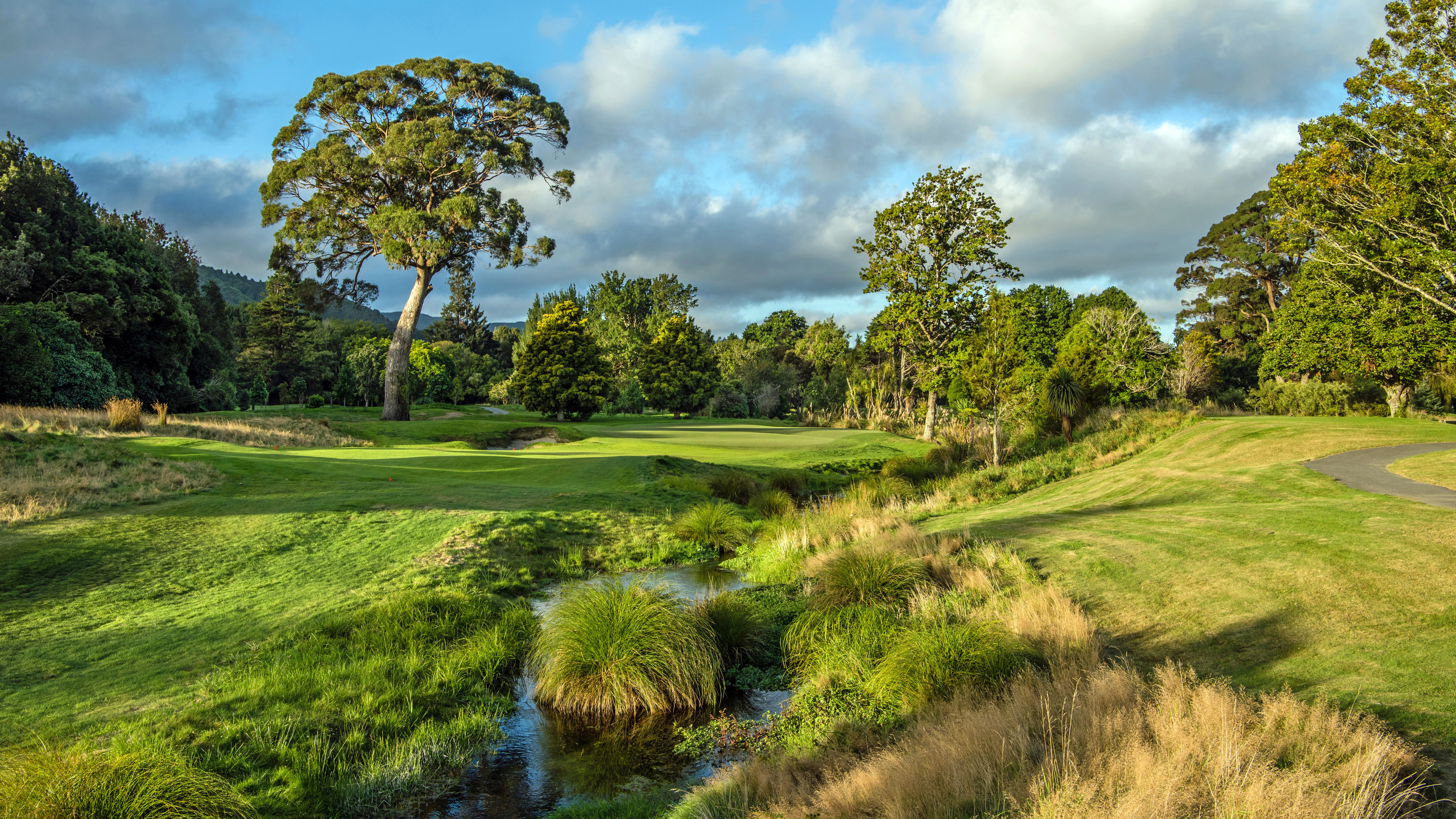 Royal Wellington - Hole 8
