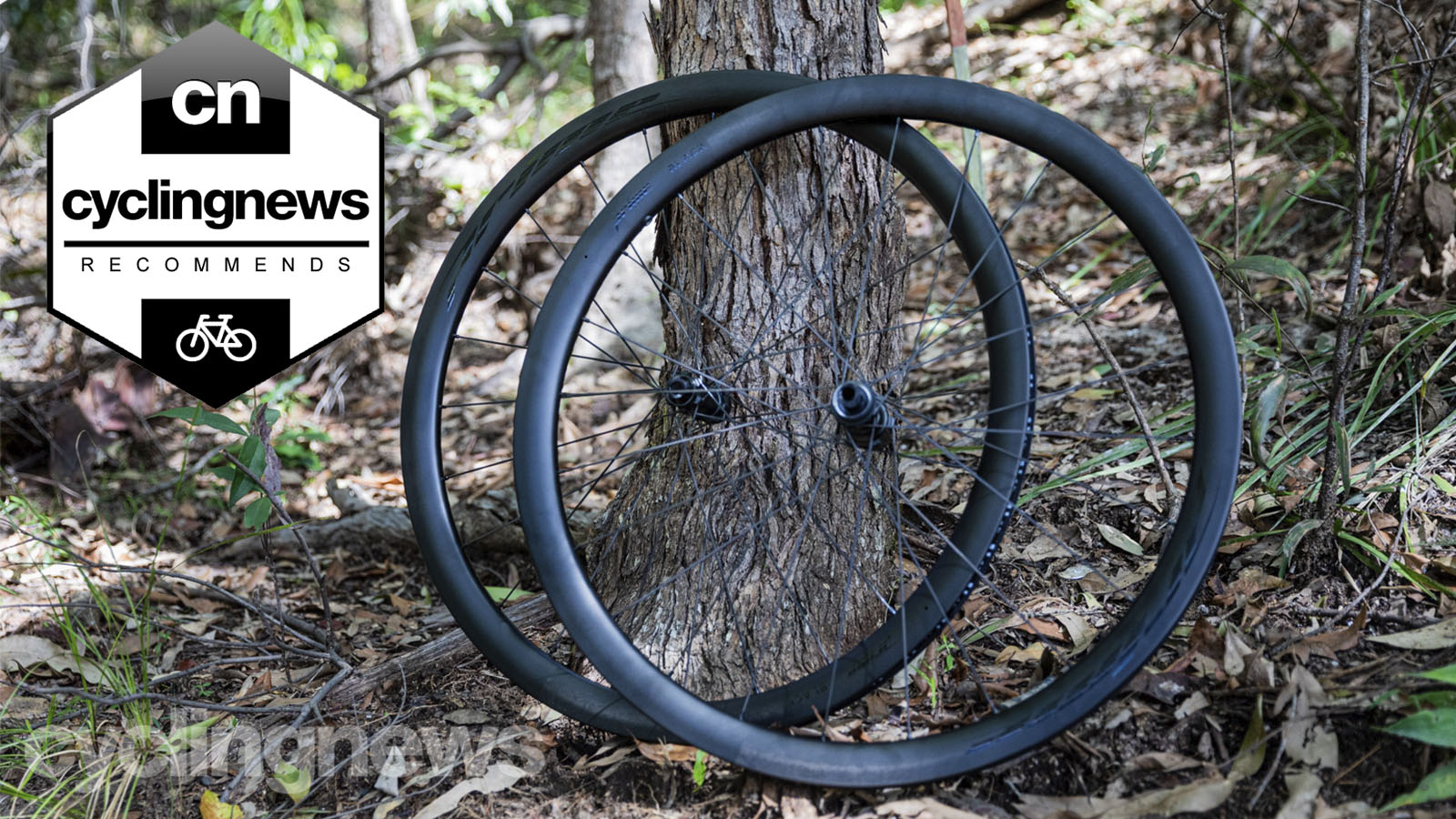 Prime BlackEdition 38 carbon wheelset review | Cyclingnews