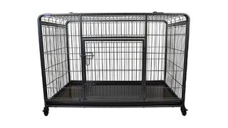 best dog crate