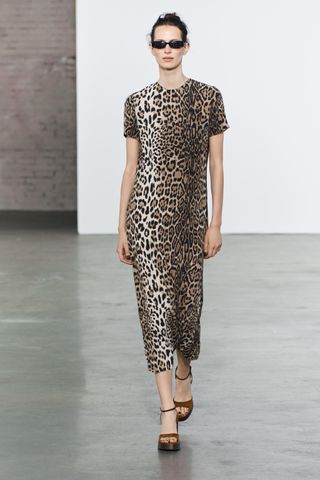 Animal Print Dress Zw Collection