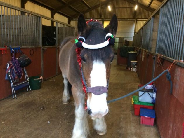 Hovis-christmas-e1513866637575.jpeg