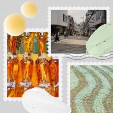 Worldly Beauty: Korean skincare ingredients collage