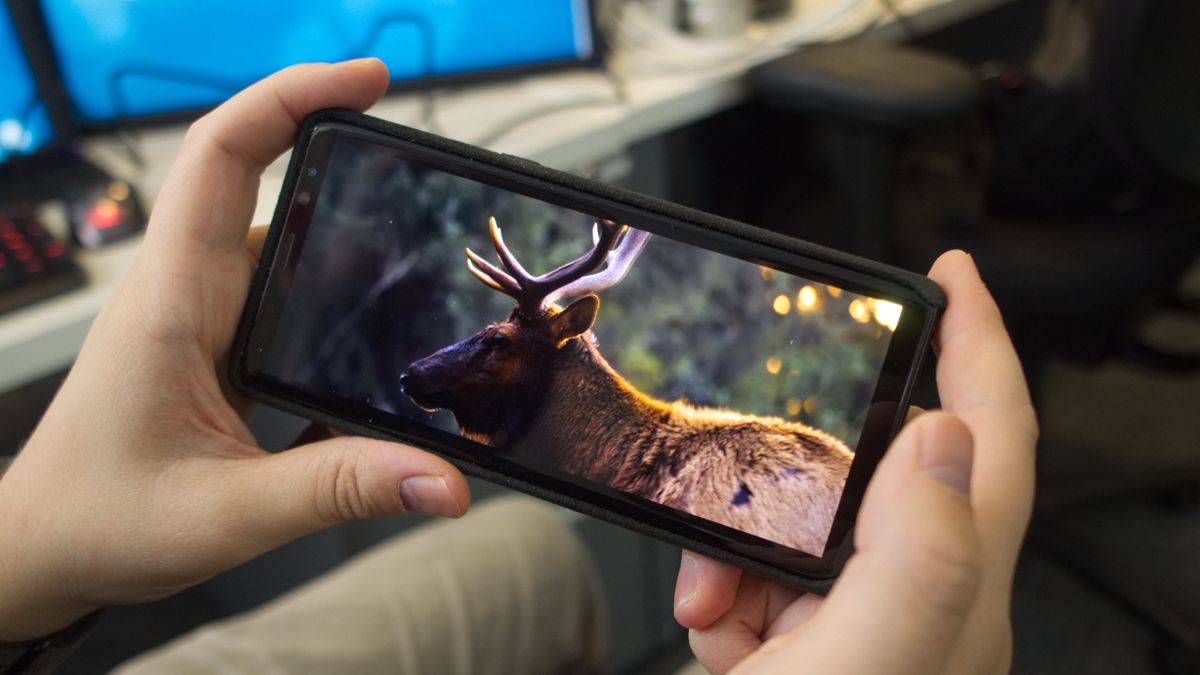 HDR on a smartphone: is it really worth having? | TechRadar