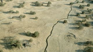 An aerial view of the San Andreas Fault in scrubland with a few trees.