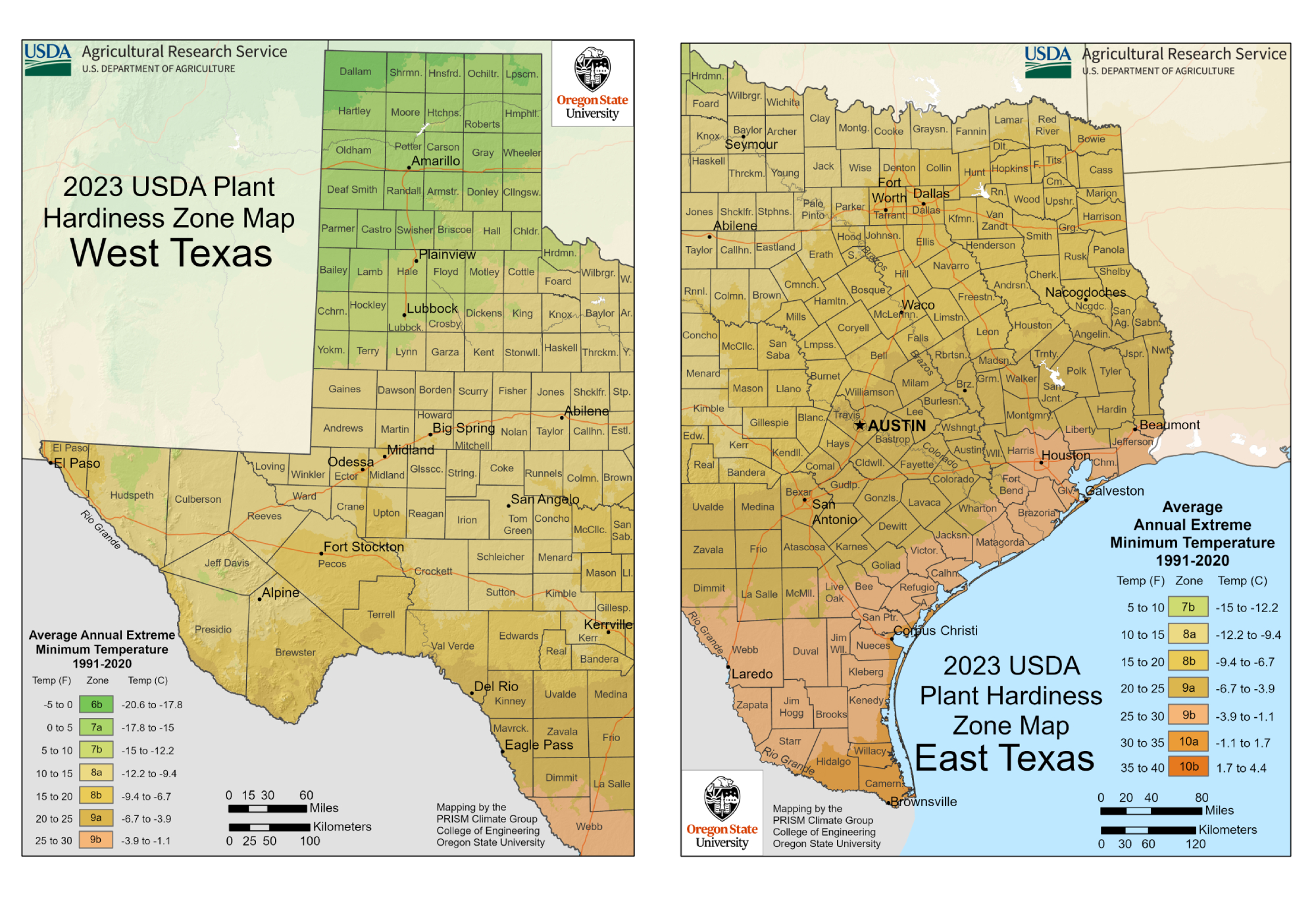 texas USDA zone map