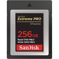 SanDisk Extreme Pro 256GB CFexpress Type-B | was $399.99 | now $269.99Save $130US DEAL