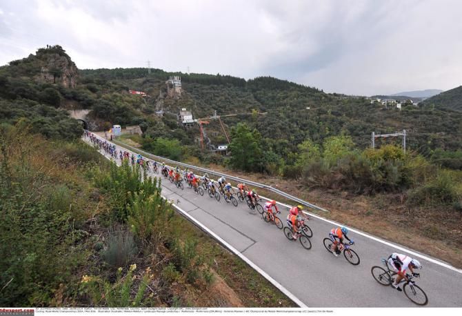The men's road race at the 2014 World Championships