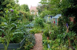 cottage garden ideas: kitchen garden