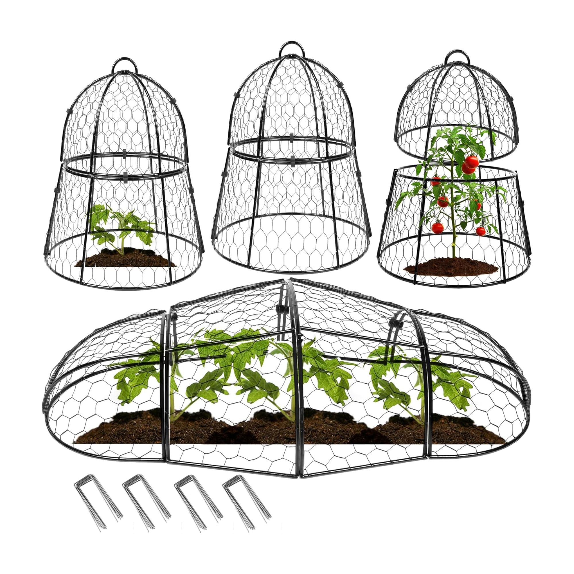 Four wire garden cloches