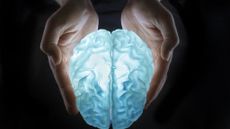 In a new study, researchers have shown how spaceflight affects the brains of cosmonauts.