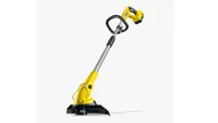 Best garden strimmer