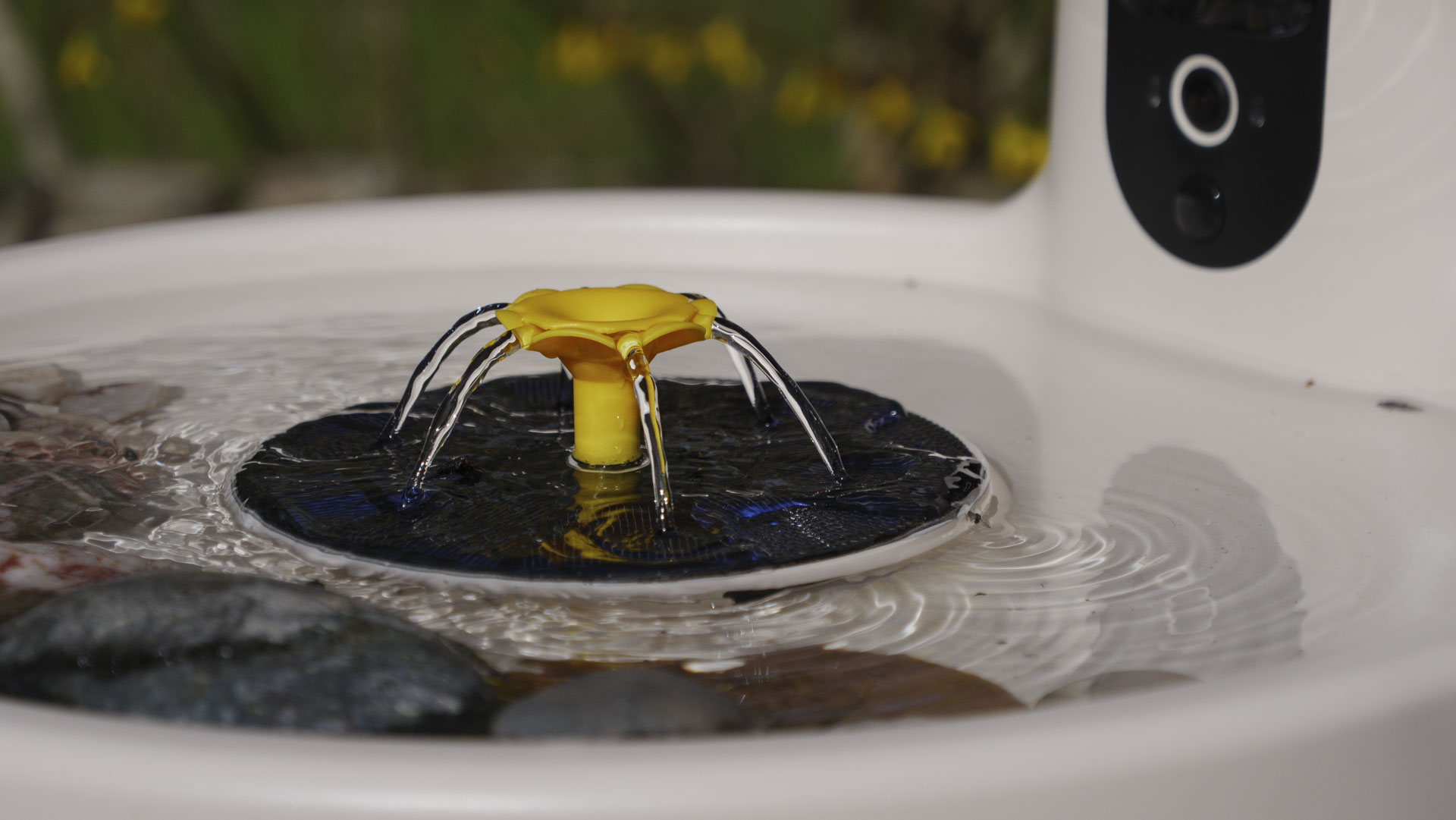 Close up of the Birdfy Bird Bath Pro camera's fountain