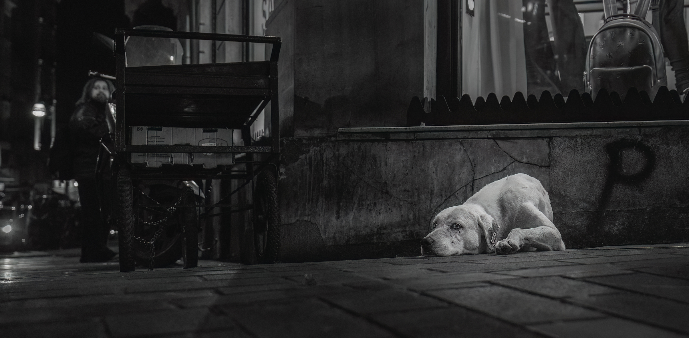 A black and white image of a lonely dog lying on a city sidewalk beside a shop, exuding a sense of solitude. A person stands in the background