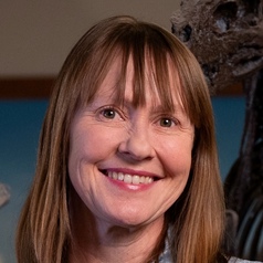Kristi Curry Rogers's avatar