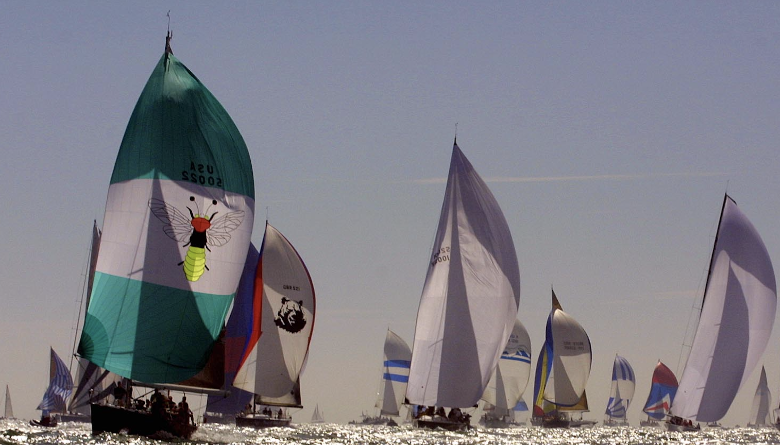 boats