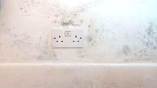 White wall with black mould stains on wallpaper and skirting board with double plug socket on wall