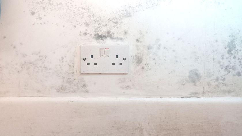 White wall with black mould stains on wallpaper and skirting board with double plug socket on wall