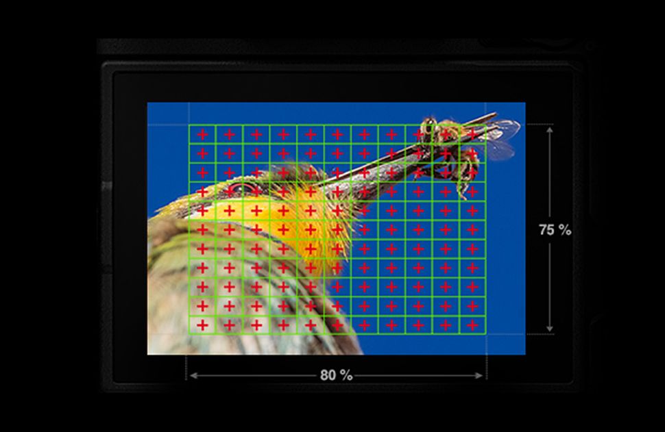 What is autofocus, and how does it work? Digital Camera World
