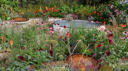 Chelsea Flower Show trends – Finding Our Way: An NHS Tribute Garden. Designed by Naomi Ferrett-Cohen at RHS chelsea flower show