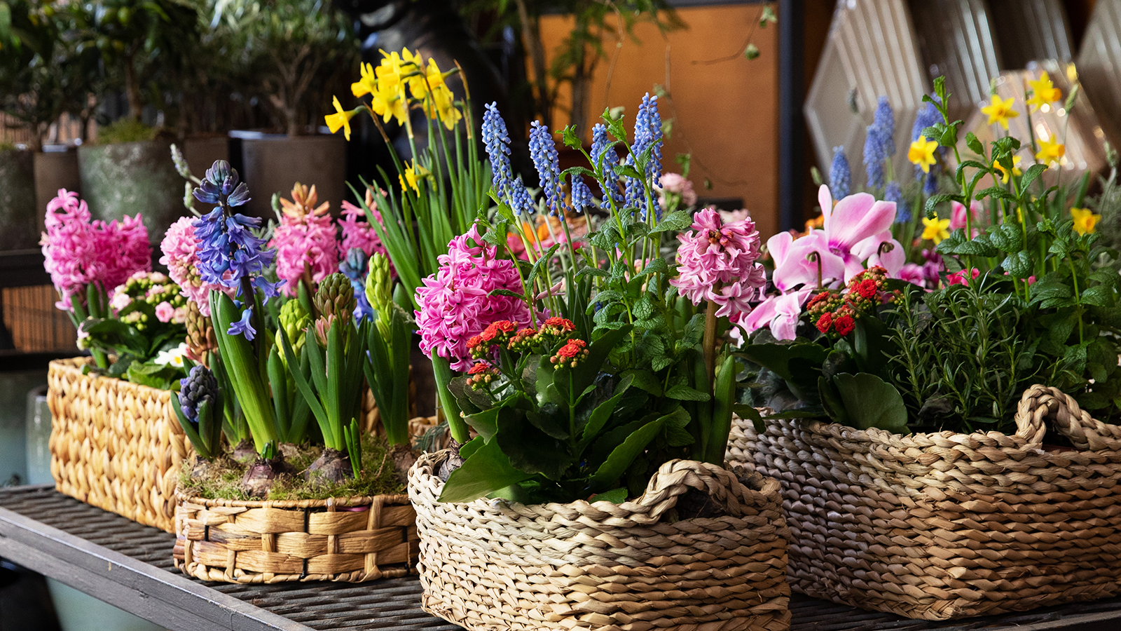 Container gardening with a planter full of blooms