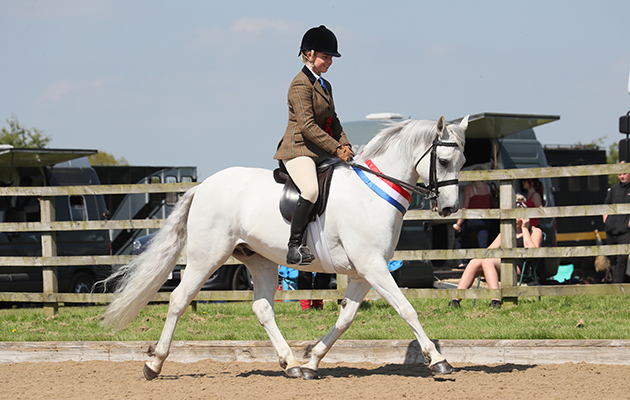 Pretty Polly Supreme Championship 126EMLAGHARAN CEOLAIRER: Olivia Rocks