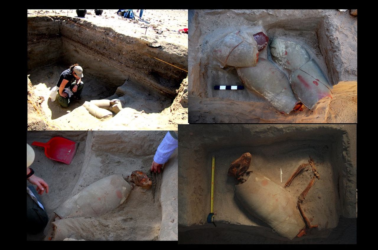 Of the 585 animals unearthed so far, 32 are dogs.