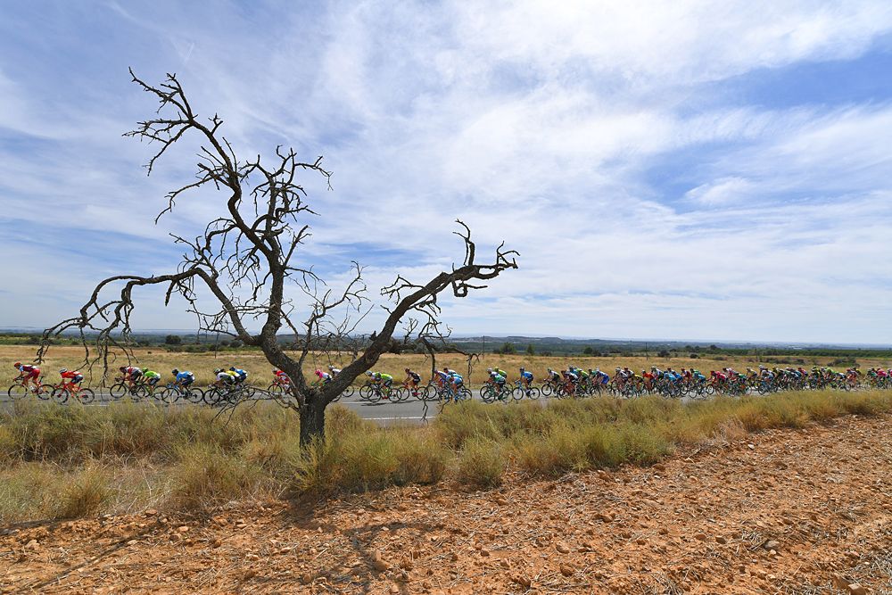 The peloton during stage 19