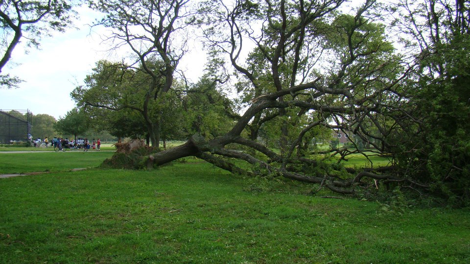 New York, tornado damage