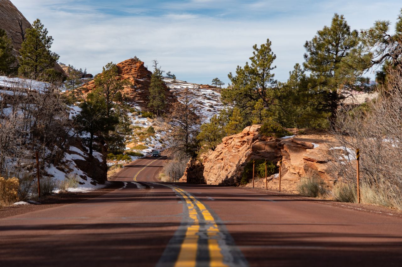 Nikon D780 review