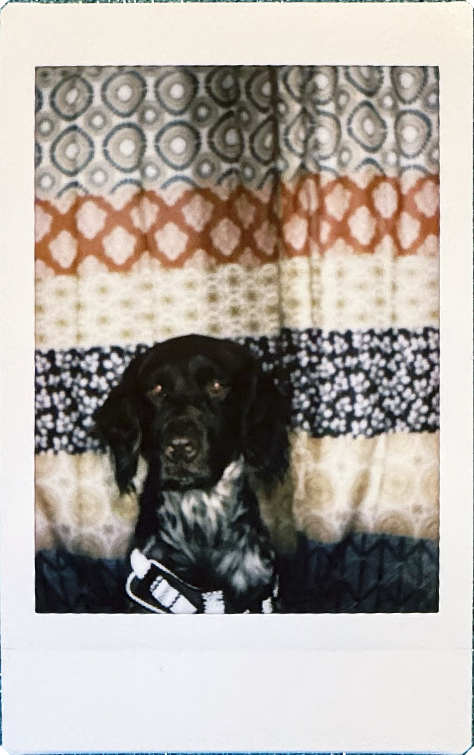 Scanned film images from the Instax Mini 13