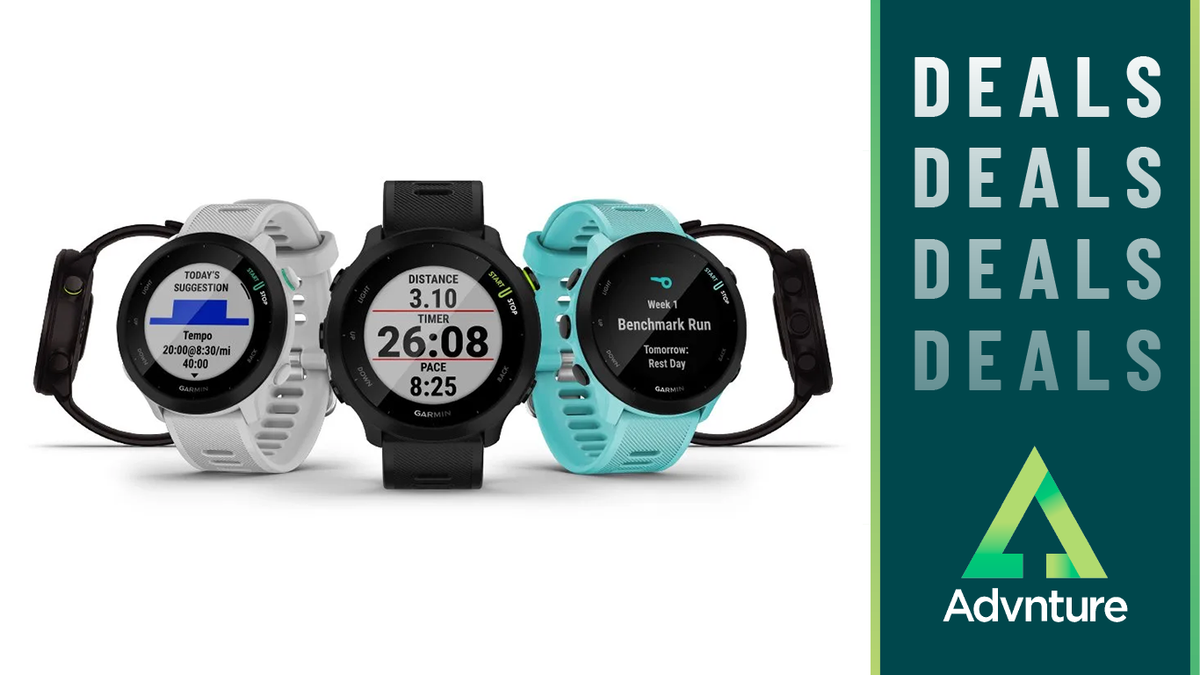 Garmin Forerunner 55