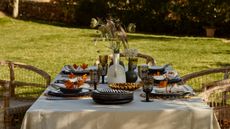 table set with plates and cups and cutlery in the garden, with tablecloth, wicker chairs, and a vase of flowers