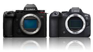 Panasonic Lumix S5 II vs Canon EOS R6 II