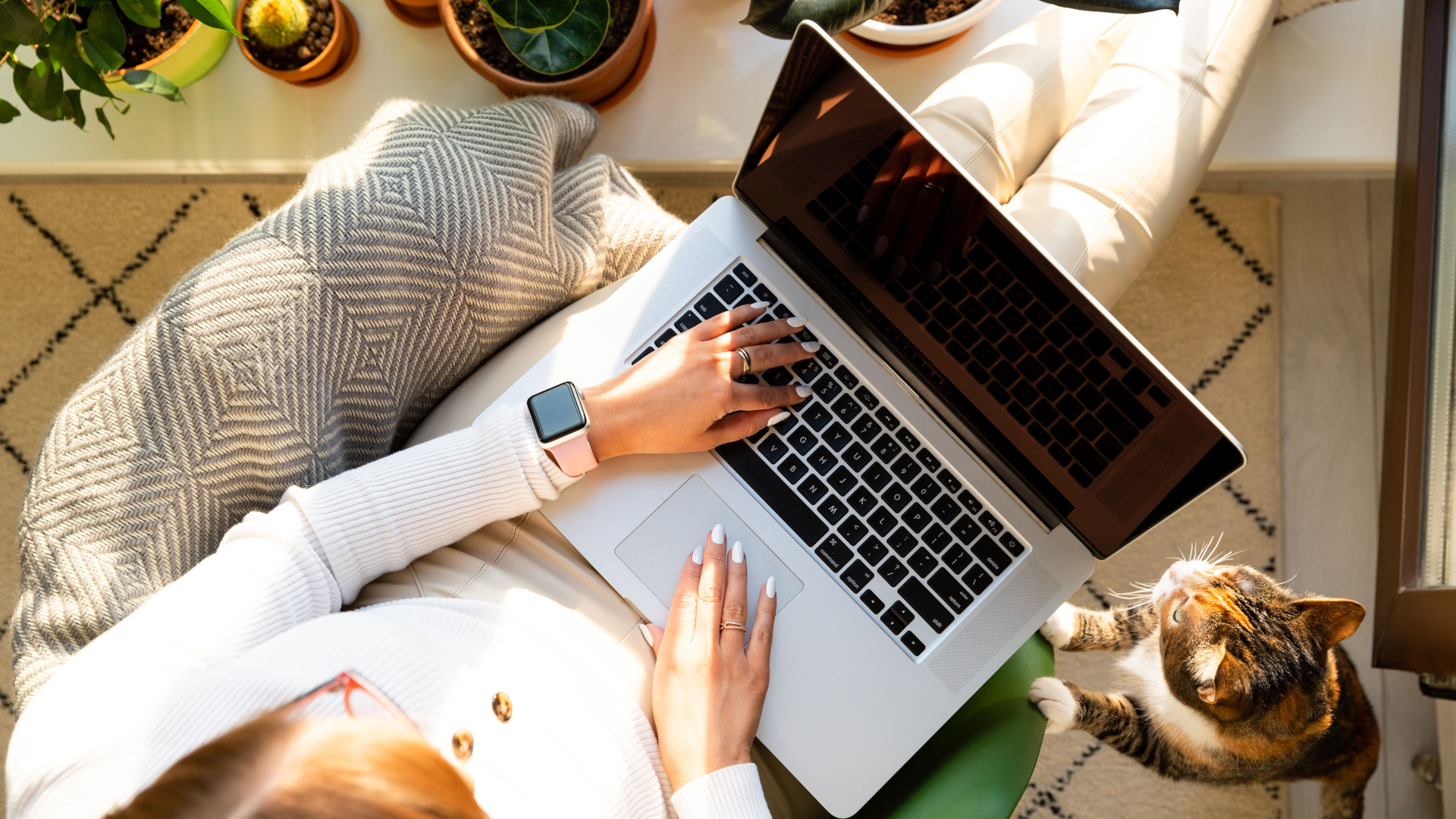 Chilled out woman working on laptop with her cat