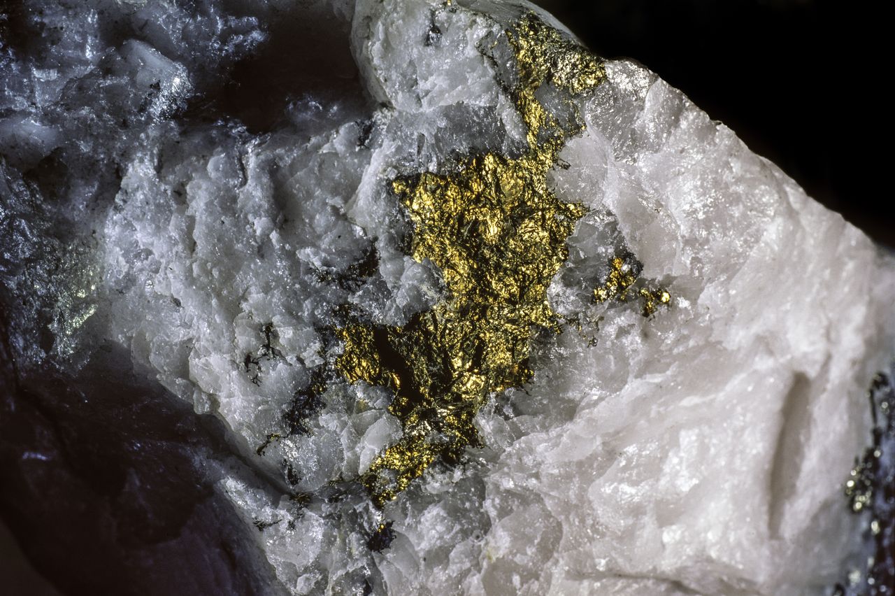 Gold nugget or gold vein &#039;trapped&#039; in quartz. Gold mining industry